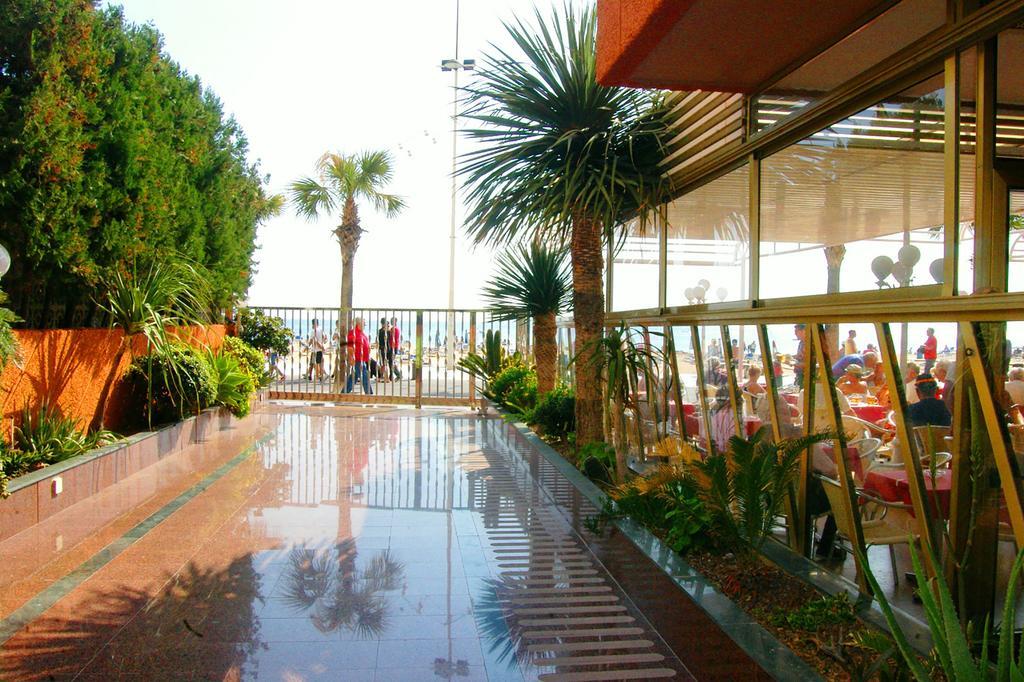 Apartamentos Torre Don Vicente - Arca Rent Benidorm Dış mekan fotoğraf